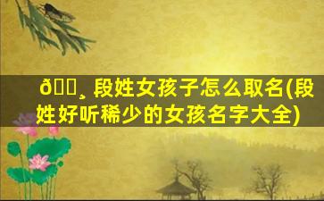 🌸 段姓女孩子怎么取名(段姓好听稀少的女孩名字大全)